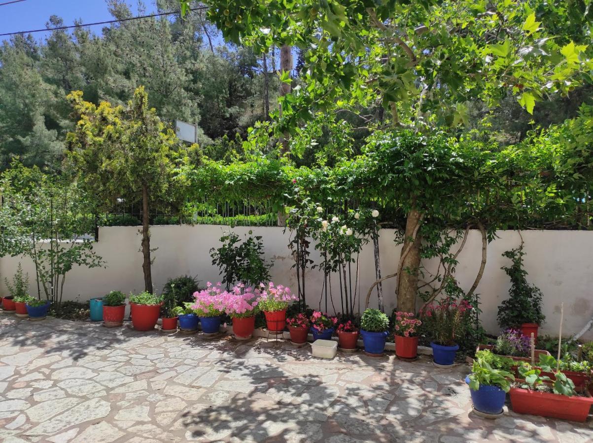 Casa Stella Διαμέρισμα Αγία Τριάδα Εξωτερικό φωτογραφία